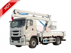 Platform Lift Truck ISUZU